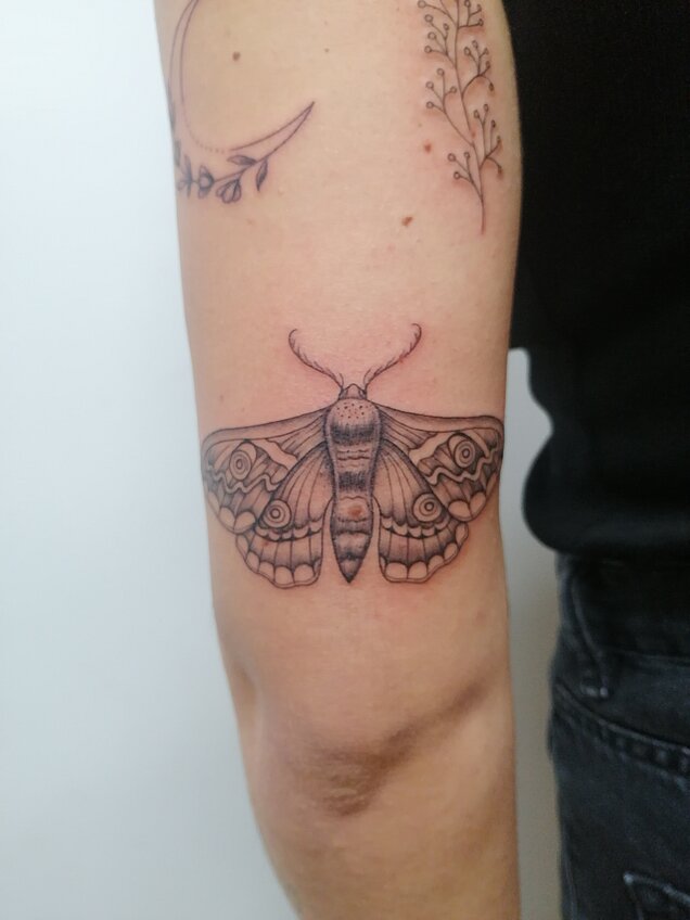 Fineline Tattoo, Motiv #10078